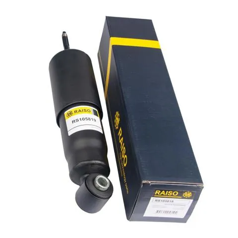Amortiguador RS105819 Raiso