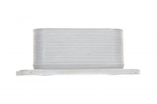 Radiador de aceite debajo del filtro 213050344R Renault (RVI)