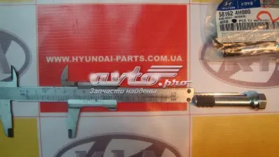 Fuelle de guía de pinza de freno delantero HYUNDAI 581684H000