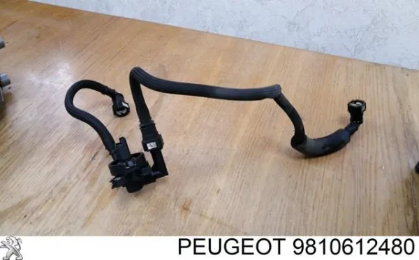 Sensor de presión de combustible 9810612480 Peugeot/Citroen