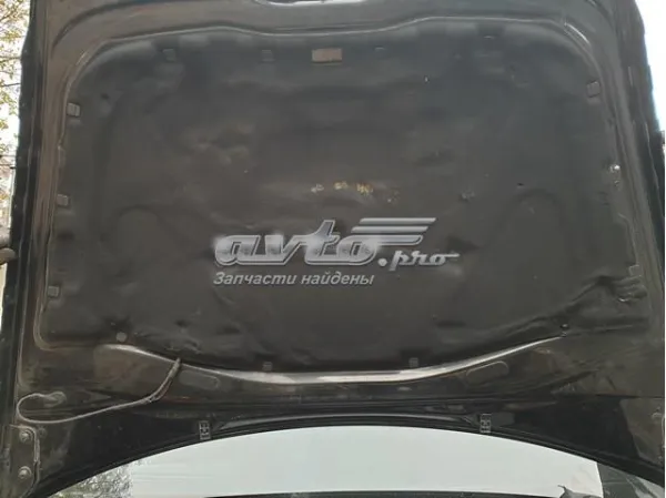 Aislamiento del Capó Porsche Cayenne 955