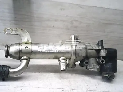 Enfriador EGR de recirculación de gases de escape PEUGEOT 9645689780