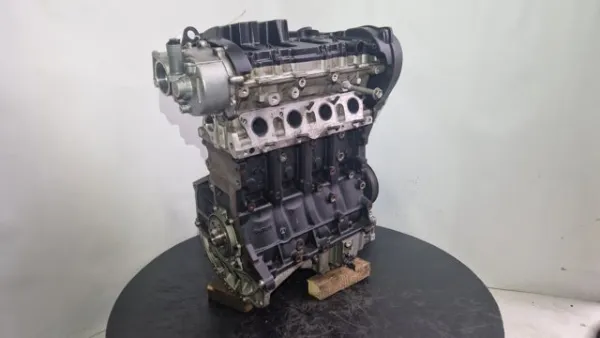 Motor completo BWE VAG