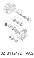 Anillo sincronizador Seat Leon 5F1