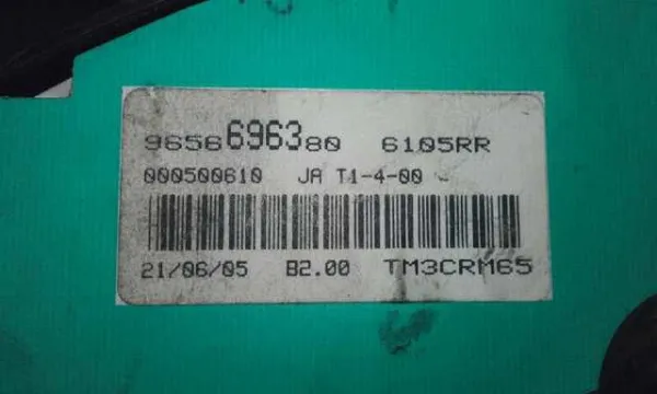  9656696380 Peugeot/Citroen