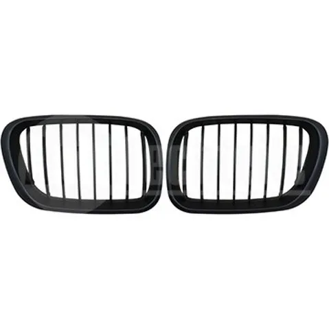 Parrilla BMW X5 E53
