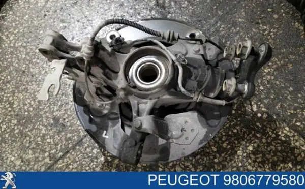 Protector del disco de freno delantero izquierdo 9806779580 Peugeot/Citroen