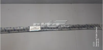 Moldura De Cristal De La Ventana De La Puerta Delantera Izquierda GM 96304084