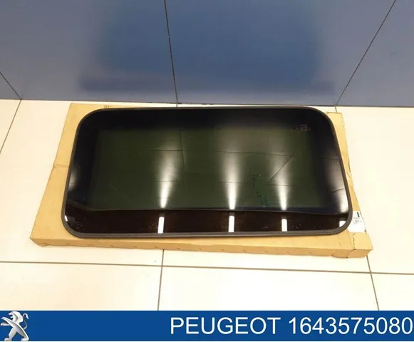  1643575080 Peugeot/Citroen
