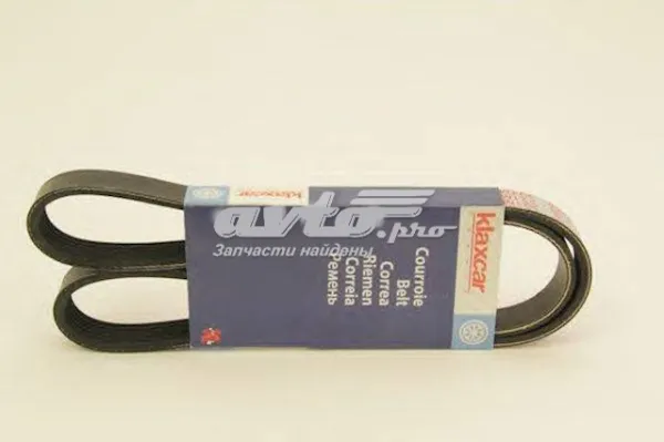 Correa de alternador 6PK2020 Continental/Siemens