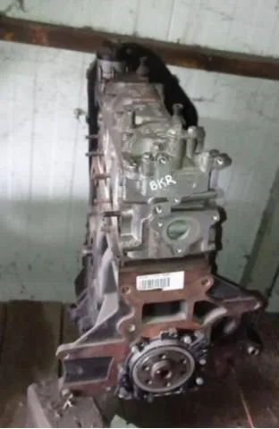 Motor completo BKR VAG