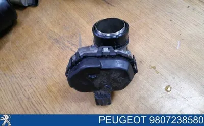Cuerpo de mariposa completo PEUGEOT 9830301180