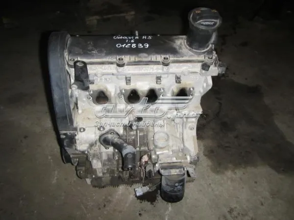 Motor completo 06A100043P VAG