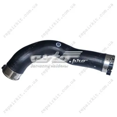 Tubo flexible de aspiración, cuerpo mariposa BMW 11617810615