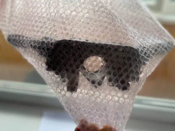 Conmutador columna dirección Dacia Duster HM