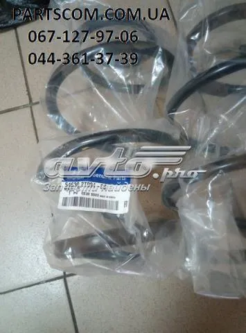 Muelle delantero 546302T094 Hyundai/Kia