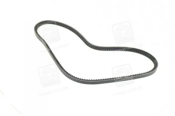 Correa de alternador 13A1050C Dayco