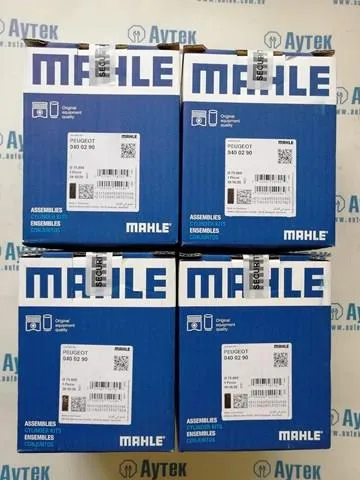 Juego de pistón y camisa 0400290 Mahle Original