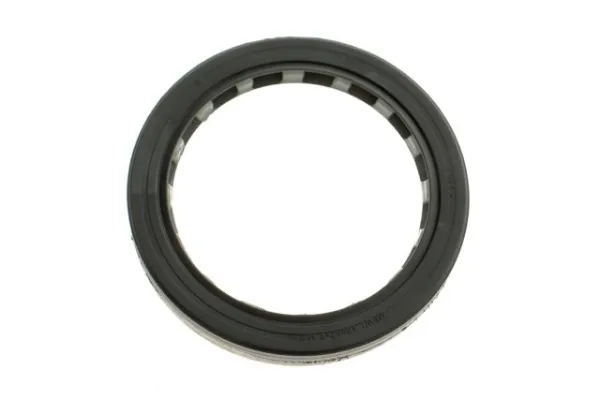 Retén de cubo trasero 331117564R Renault (RVI)