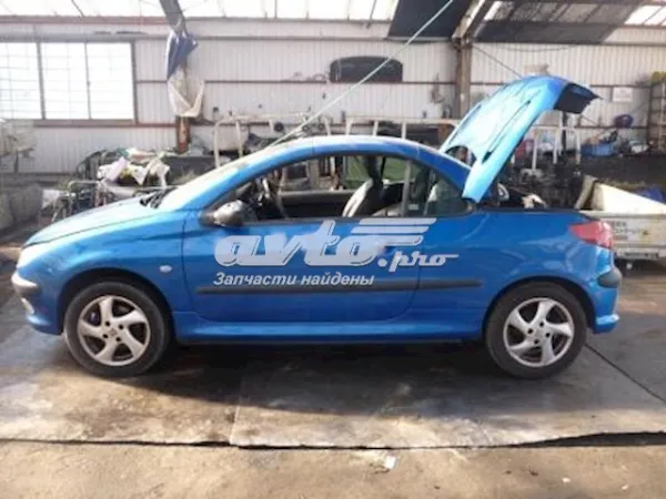 Puerta de coche, delantera, izquierda Peugeot 206 