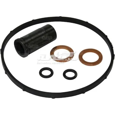 Kit de reparación de bomba de alta presión CARGO 080170