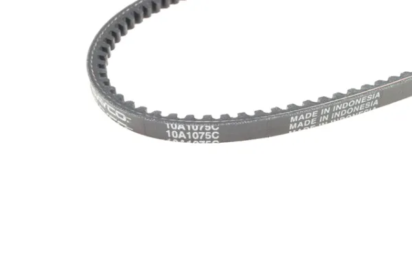 Correa de alternador 10A1075C Dayco