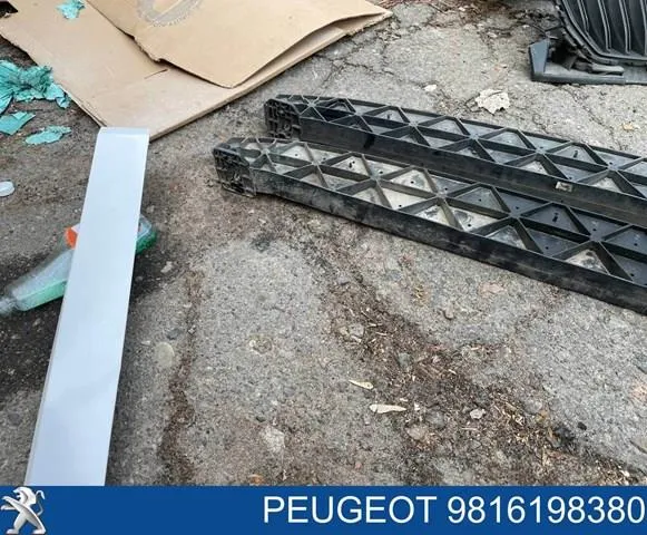 Absorbedor del parachoques delantero 9816198380 Peugeot/Citroen