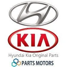 Cadena de distribución 243212E380 Hyundai/Kia