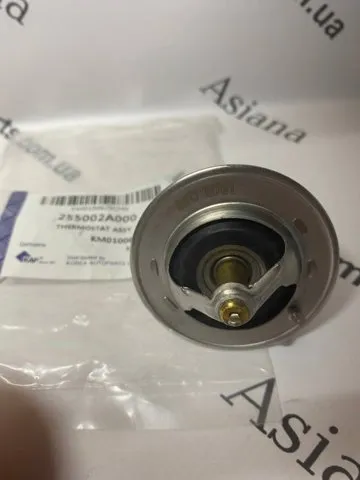 Termostato KIA Sorento 3