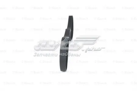 Correa de alternador 6PK962 Continental/Siemens