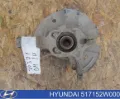 Mangueta delantera izquierda Hyundai Santa Fe DM