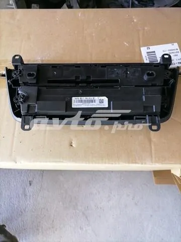  17313810 BMW