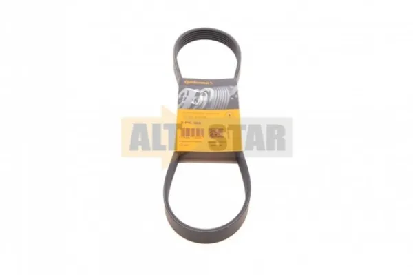Correa de alternador 6PK869 Continental/Siemens