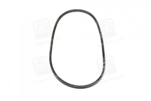 Correa de alternador 10A1040C Dayco