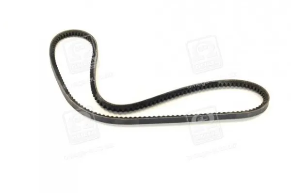 Correa de alternador 10A1035C Dayco