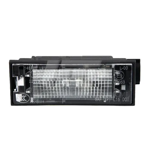 Luz matricula 265105055R Renault (RVI)
