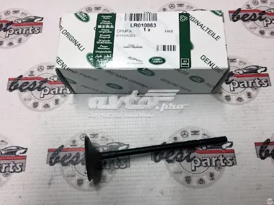Válvula de admisión LAND ROVER LR010863