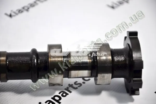 Rodillo tensor cadena HSC 244102X701