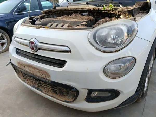 Paragolpes 735633859 Fiat/Alfa/Lancia
