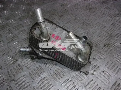 Radiador Enfriador De La Transmision/Caja De Cambios BMW 17217529499