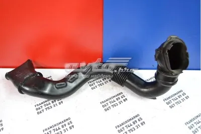 Entrada Del Filtro De Aire RENAULT 960155900R