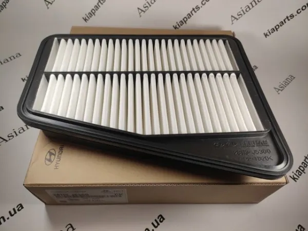 Filtro de aire 28113N9000 Hyundai/Kia