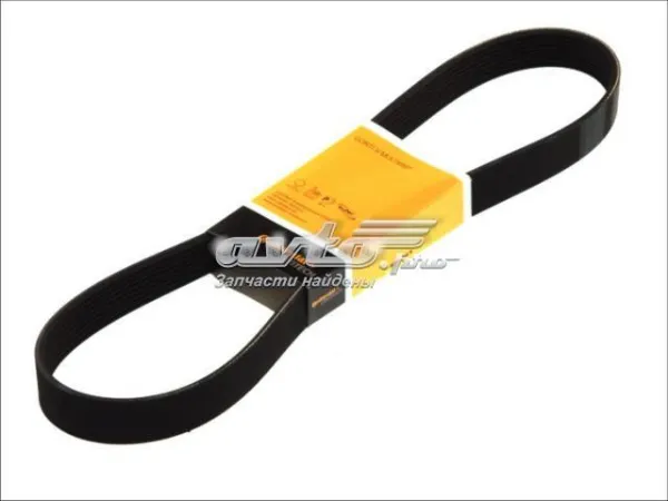 Correa de alternador 8PK1755 Continental/Siemens