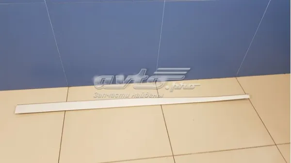 Moldura de umbral exterior izquierda 769524766R Nissan/Infiniti