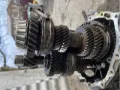 Engranaje intermedio de marcha atrás Volkswagen Passat 3B3