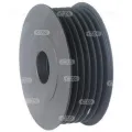 Polea alternador Citroen ZX N2