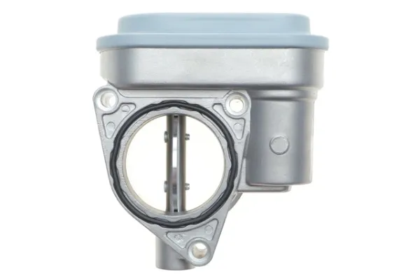 Cuerpo de mariposa 408001 NRF