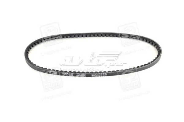 Correa de alternador 11A0800C Dayco