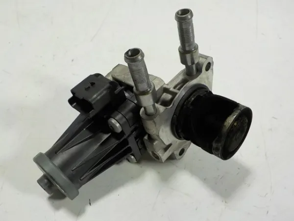 Válvula EGR 9813064280 Peugeot/Citroen
