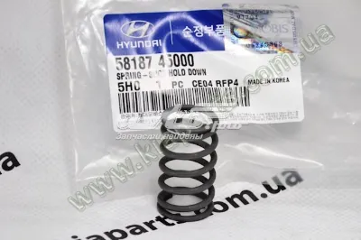 Muelle de presión de las zapatas de freno traseras HYUNDAI 5818745000